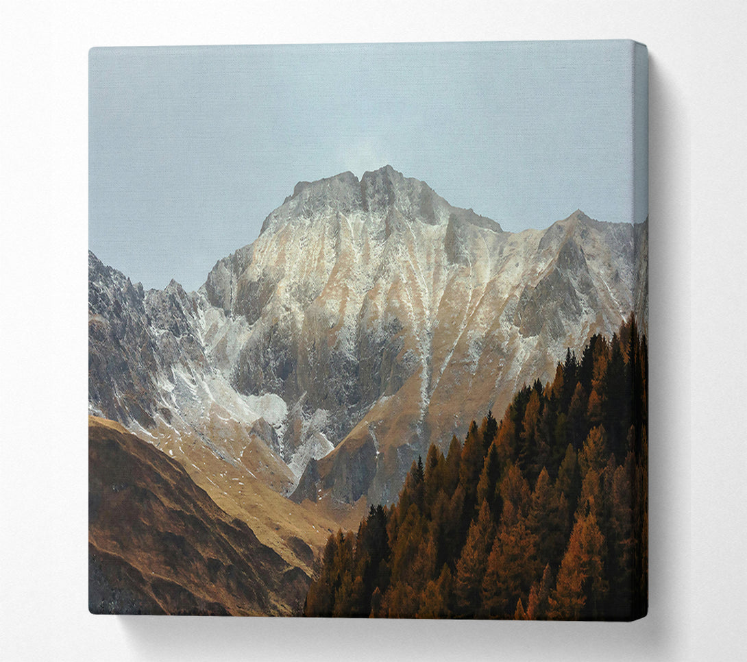  A Canvas Print of Golden Mountainside Snow Canvas Art