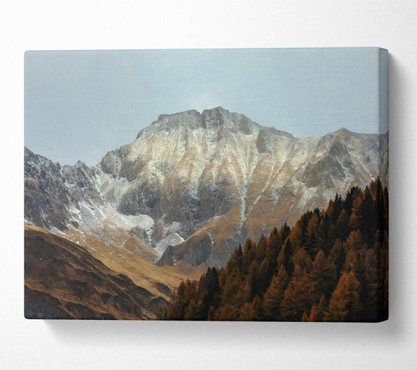  A Canvas Print of Golden Mountainside Snow Canvas Art