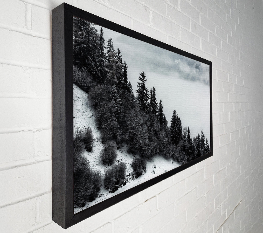  A Canvas Print of Silver Forest Fog Canvas Print