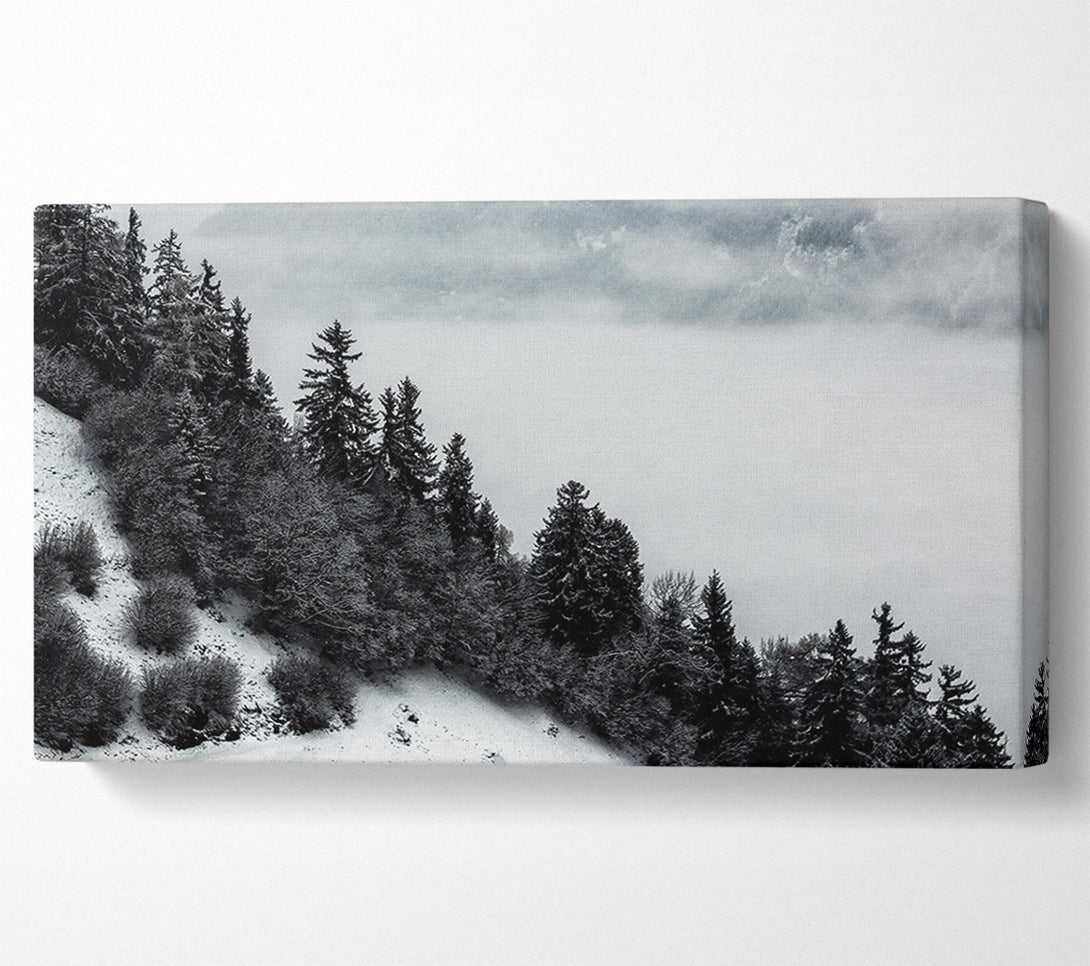  A Canvas Print of Silver Forest Fog Canvas Print