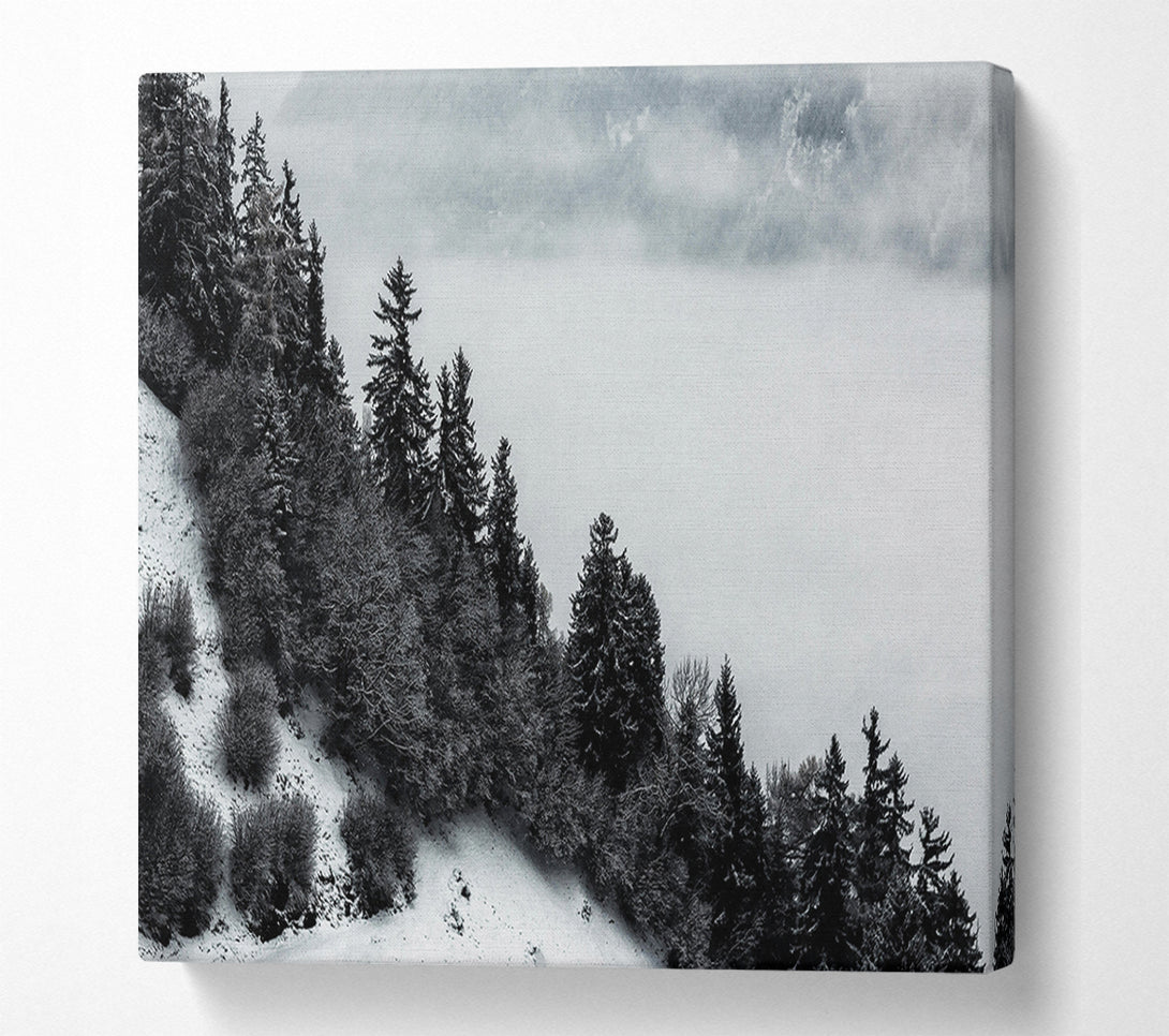 A Canvas Print of Silver Forest Fog Canvas Print