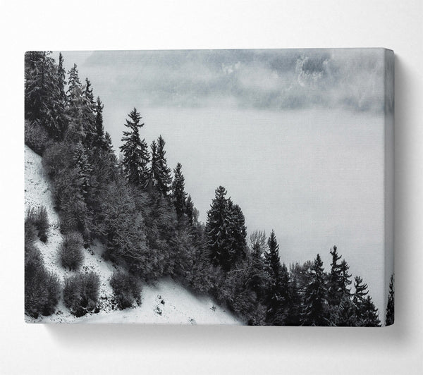  A Canvas Print of Silver Forest Fog Canvas Print
