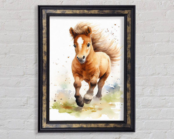 Pony Watercolour Framed Print