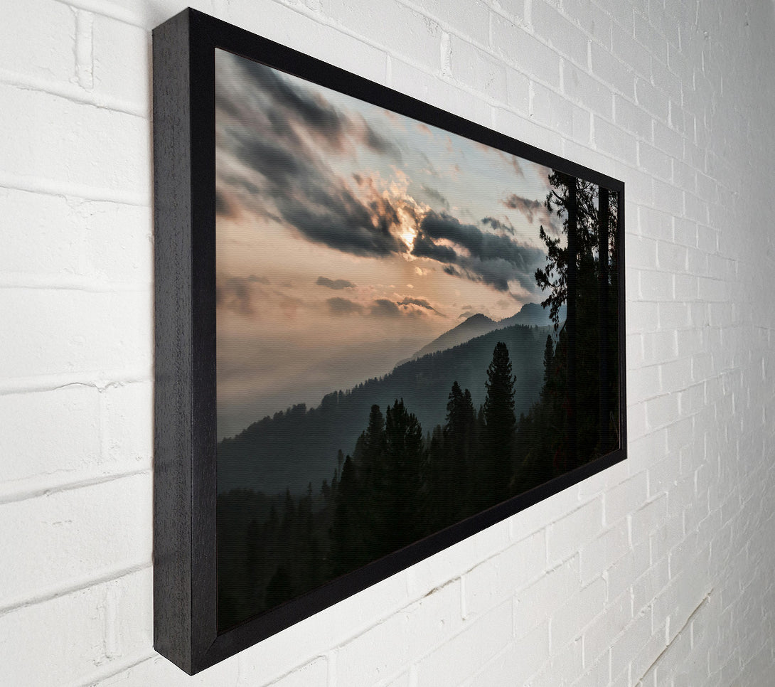  A Canvas Print of Golden Hour Pines Canvas Art