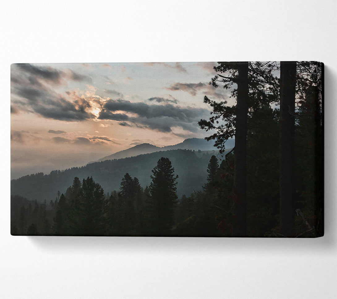  A Canvas Print of Golden Hour Pines Canvas Art