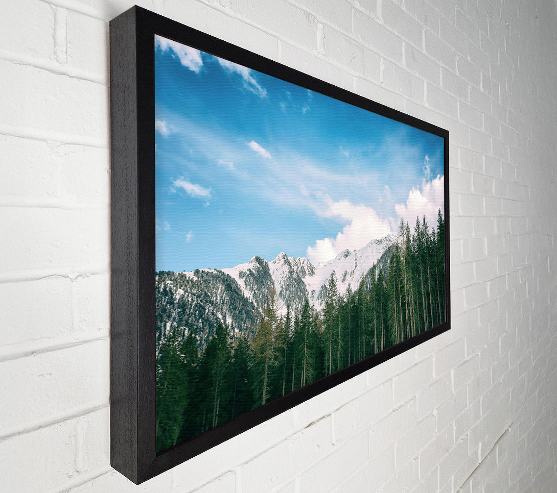  A Canvas Print of Azure Mountain Pines Canvas Art