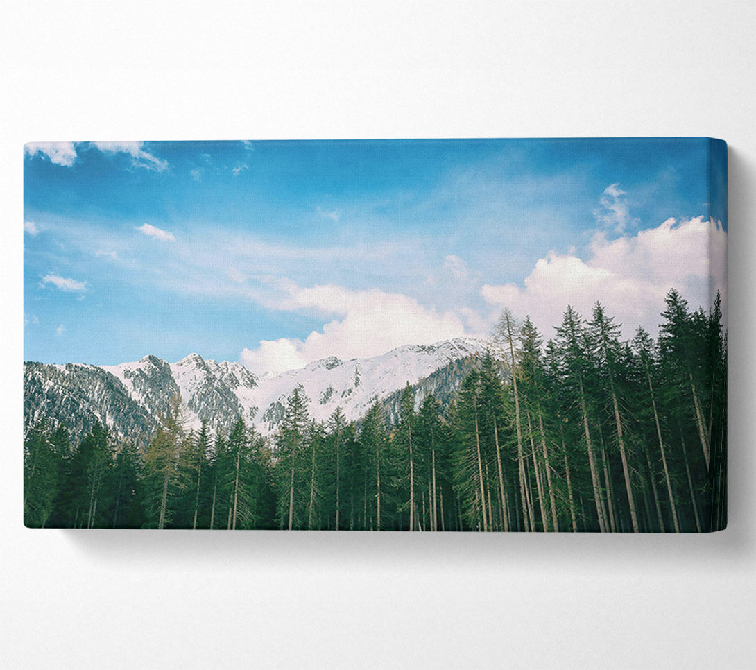  A Canvas Print of Azure Mountain Pines Canvas Art