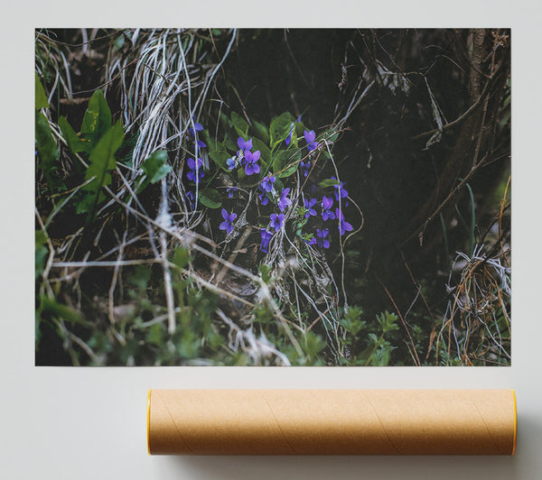 Purple Blooms Hidden Away Giclee Print