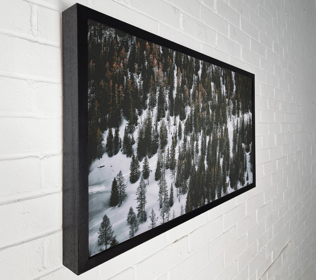  A Canvas Print of White Blanket Of Pines Canvas Art