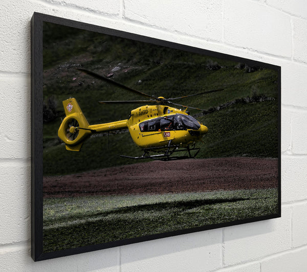 Yellow Bird In Flight