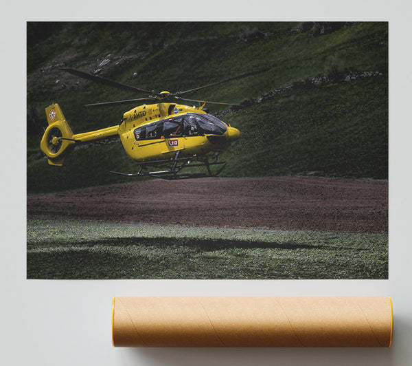 Yellow Bird In Flight Poster