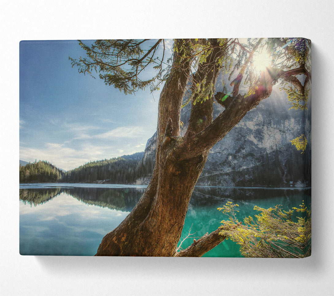  A Canvas Print of Loading... Canvas Print