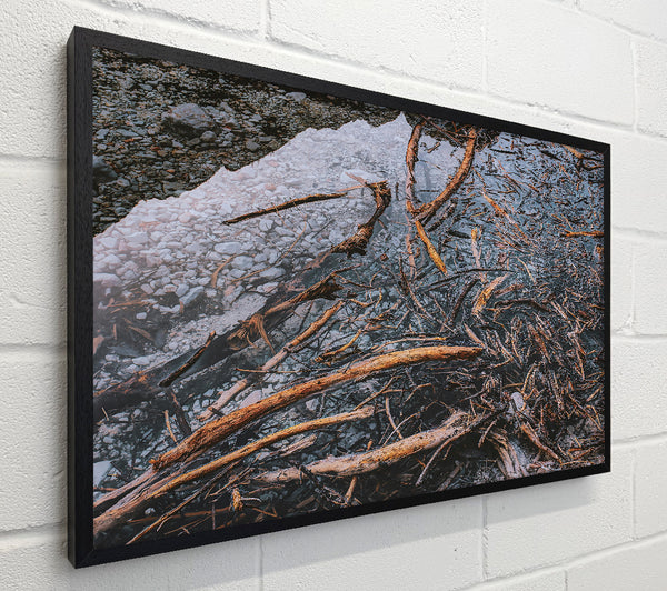 Blue Water Driftwood
