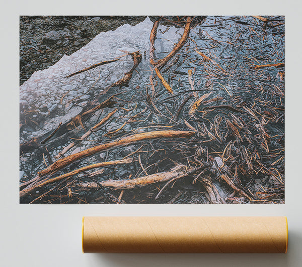 Blue Water Driftwood Print