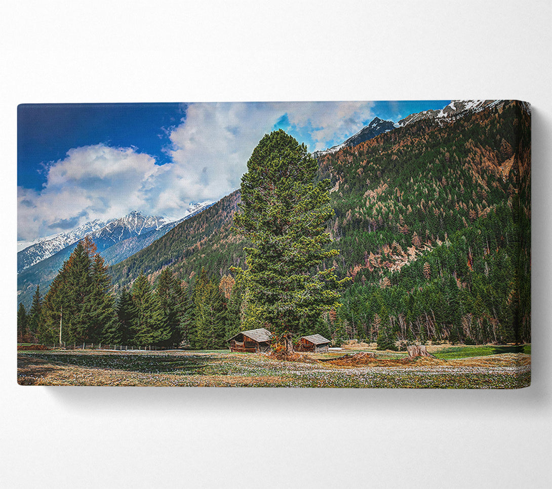  A Canvas Print of Green Mountain Haven Canvas Art