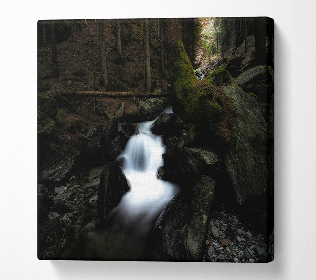  A Canvas Print of White Cascade In Shadows Canvas Wall Art