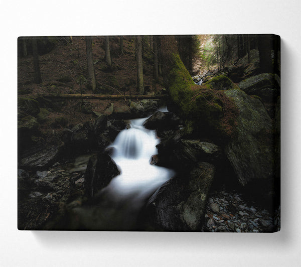  A Canvas Print of White Cascade In Shadows Canvas Wall Art