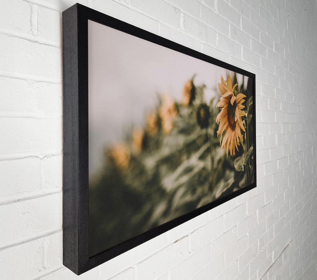  A Canvas Print of Golden Field Dream Canvas Wall Art