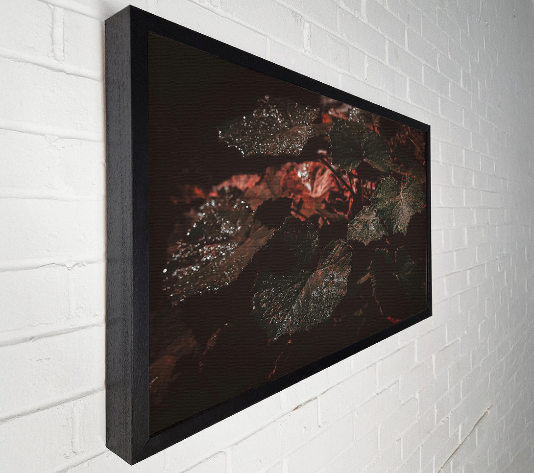  A Canvas Print of Crimson Leaf Shadow Canvas Art