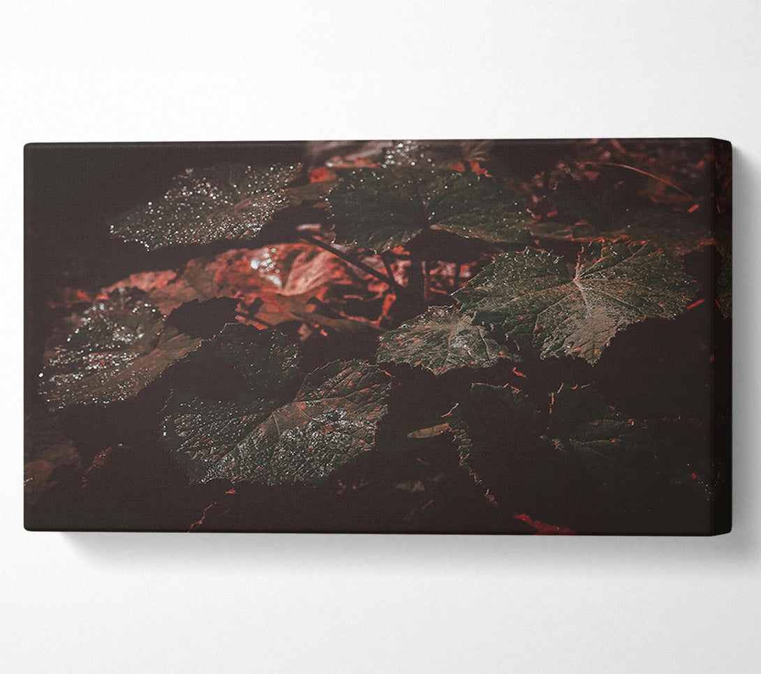  A Canvas Print of Crimson Leaf Shadow Canvas Art