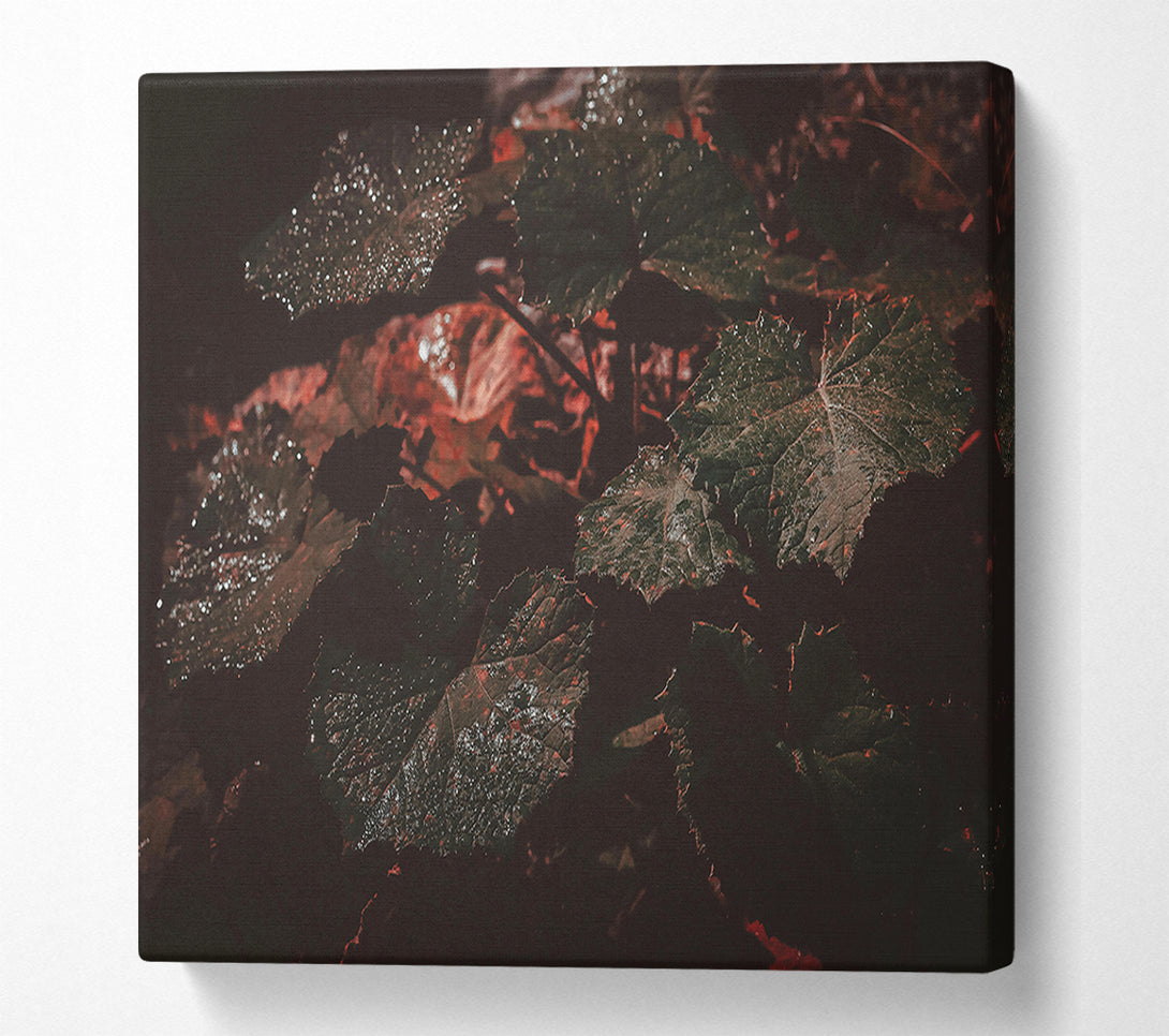  A Canvas Print of Crimson Leaf Shadow Canvas Art