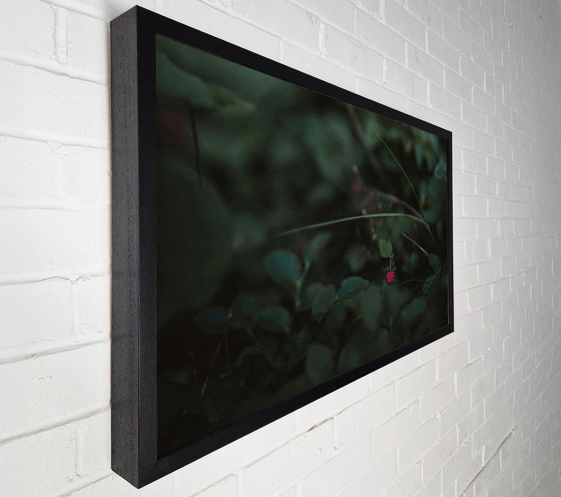  A Canvas Print of Crimson In The Green Canvas Art