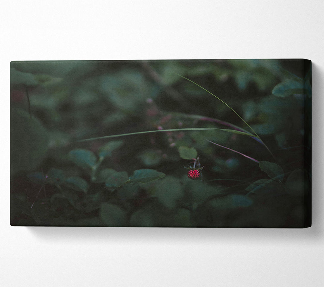  A Canvas Print of Crimson In The Green Canvas Art
