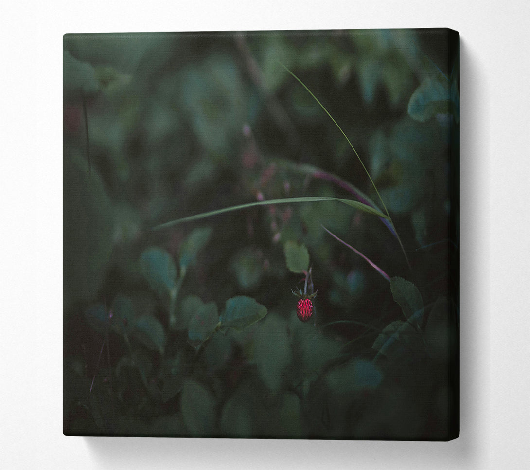  A Canvas Print of Crimson In The Green Canvas Art