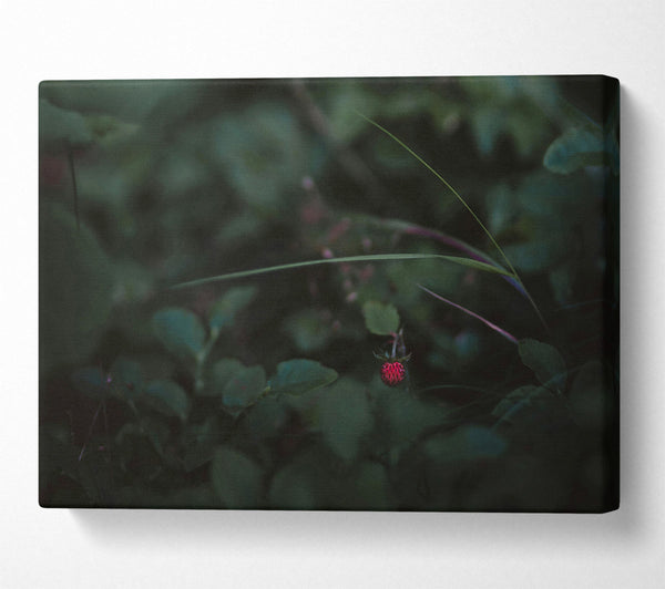  A Canvas Print of Crimson In The Green Canvas Art