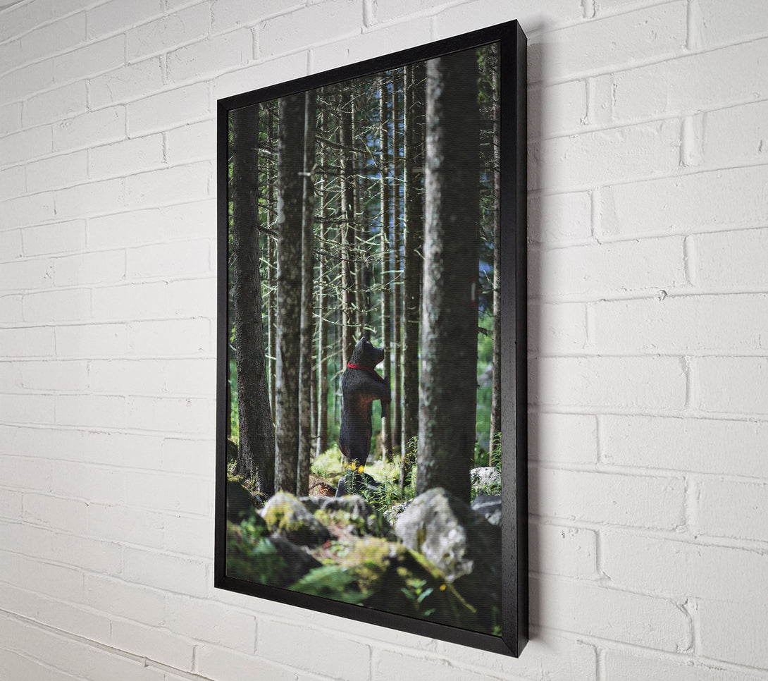  A Canvas Print of Black Bear In The Woods Canvas Wall Art