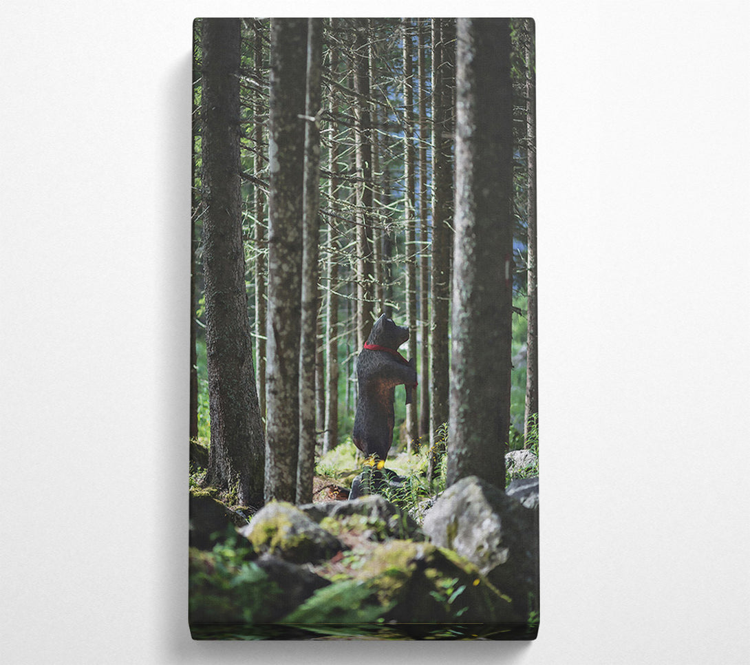  A Canvas Print of Black Bear In The Woods Canvas Wall Art