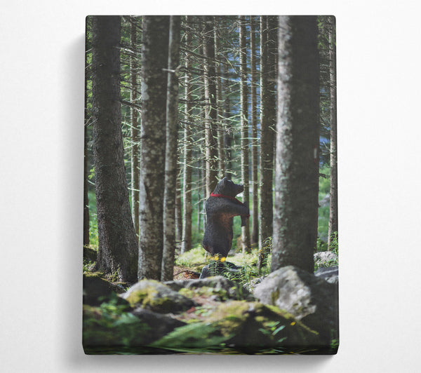  A Canvas Print of Black Bear In The Woods Canvas Wall Art
