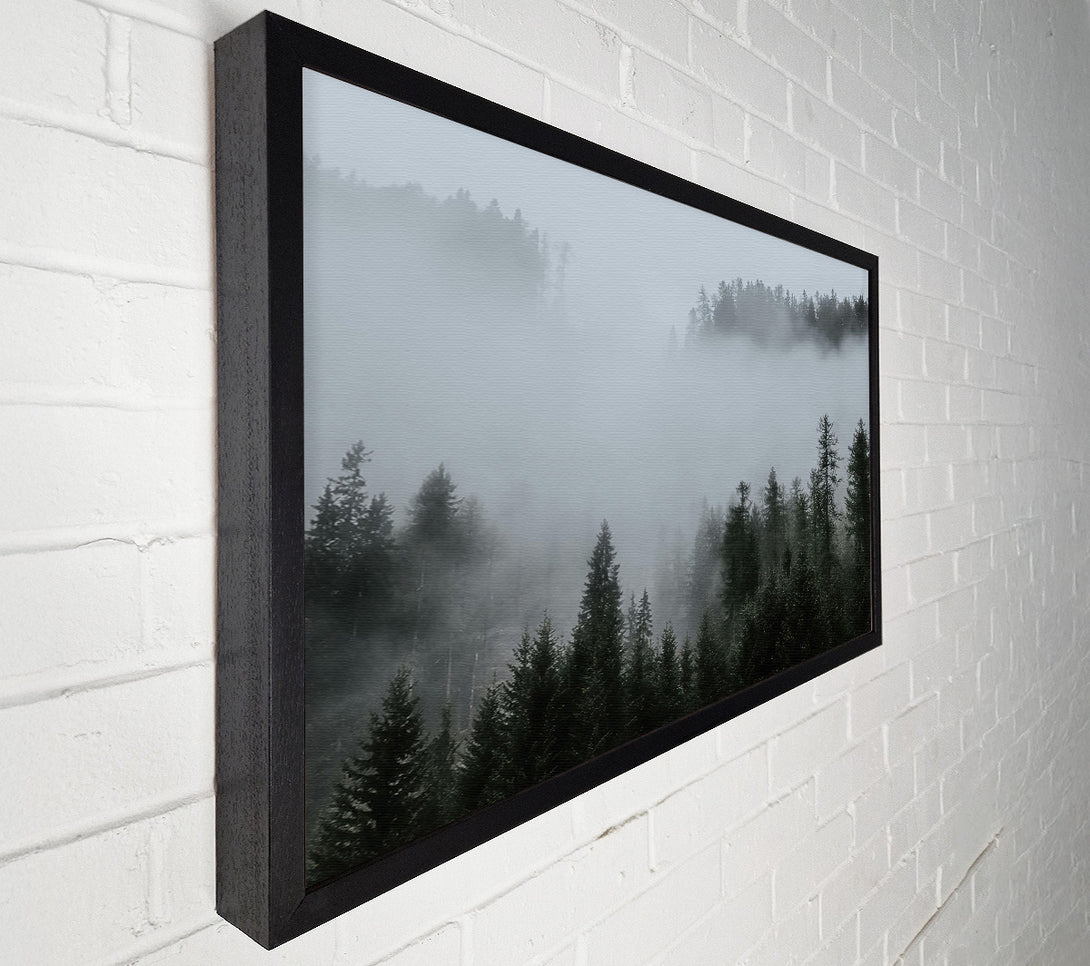  A Canvas Print of Silver Mist Pines Canvas Art