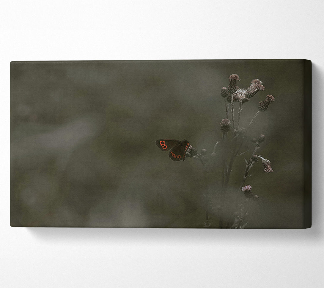  A Canvas Print of Green And Red Butterfly Canvas Wall Art