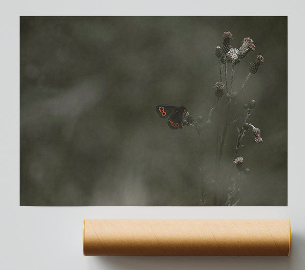Green And Red Butterfly Giclee Print