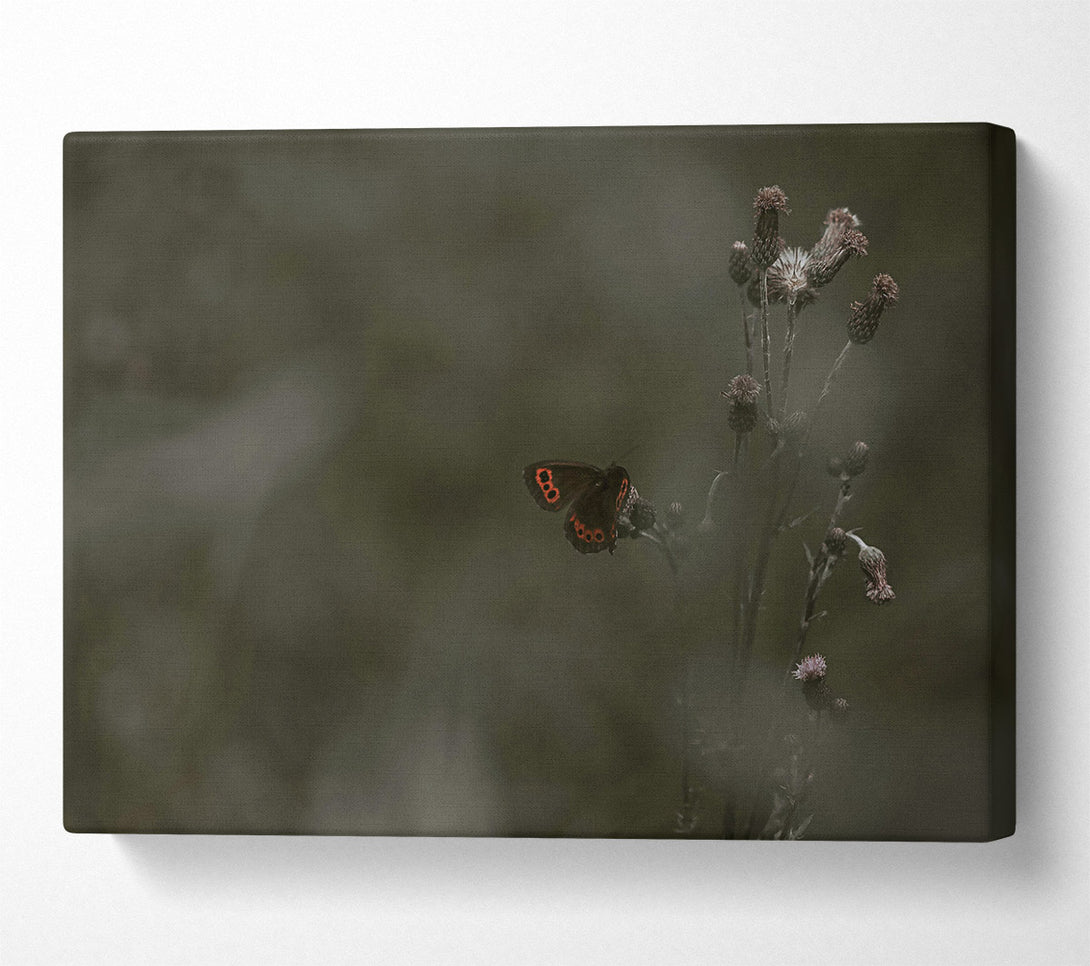  A Canvas Print of Green And Red Butterfly Canvas Wall Art