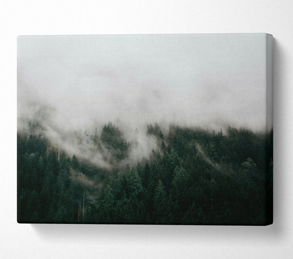  A Canvas Print of Emerald Mist Forest Canvas Wall Art