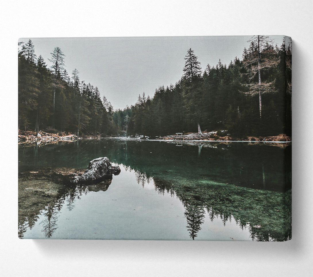  A Canvas Print of Emerald Forest Reflection Canvas Art