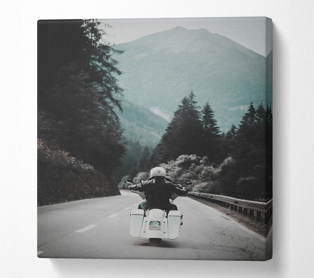  A Canvas Print of White Road Through Green Mountains. Canvas Print