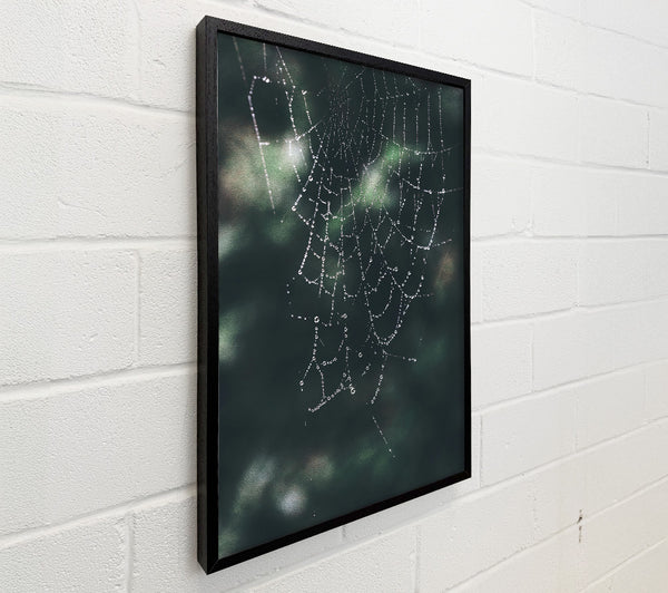 Emerald Dewdrop Web