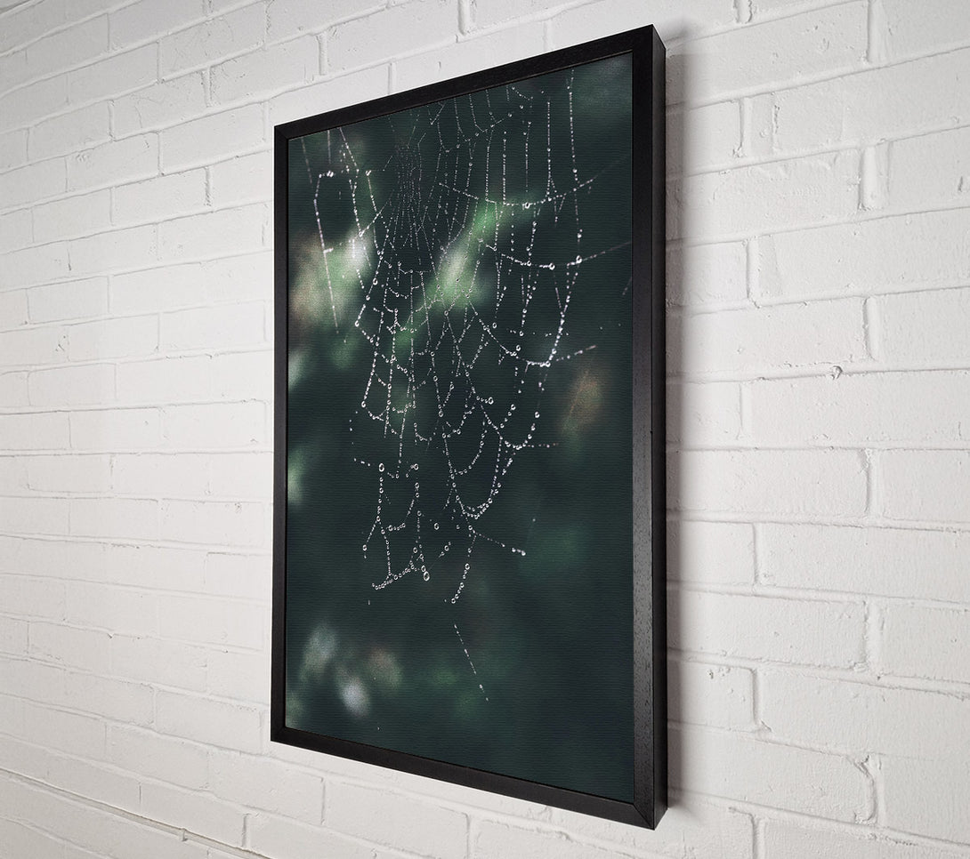  A Canvas Print of Emerald Dewdrop Web Canvas Print