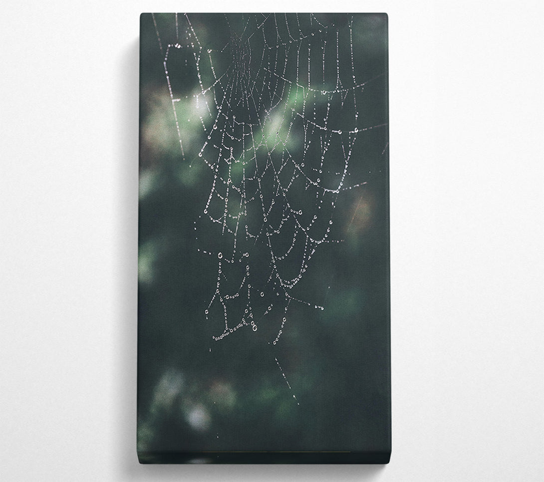  A Canvas Print of Emerald Dewdrop Web Canvas Print
