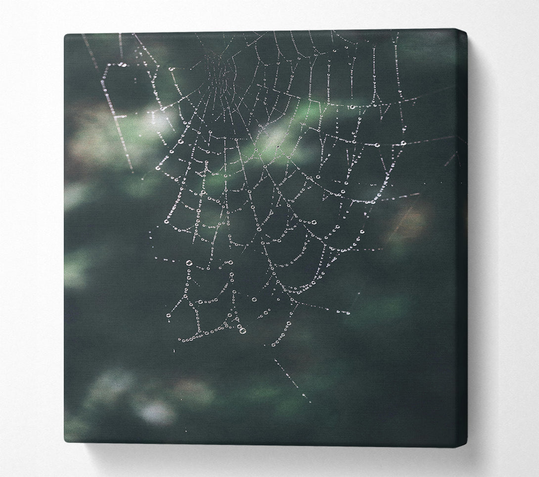  A Canvas Print of Emerald Dewdrop Web Canvas Print