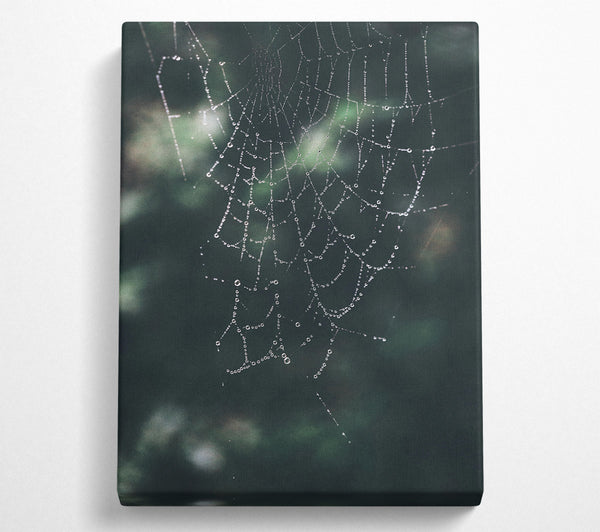  A Canvas Print of Emerald Dewdrop Web Canvas Print