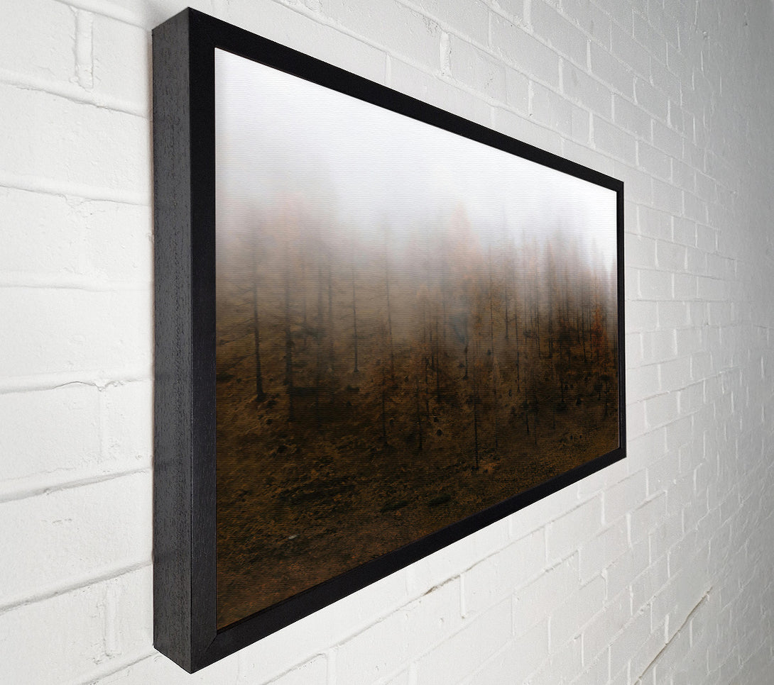  A Canvas Print of Brown Foggy Forest Canvas Art