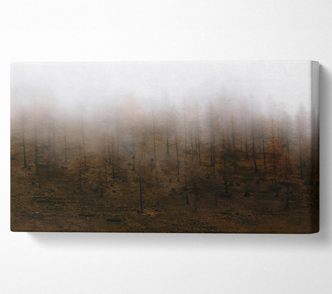  A Canvas Print of Brown Foggy Forest Canvas Art