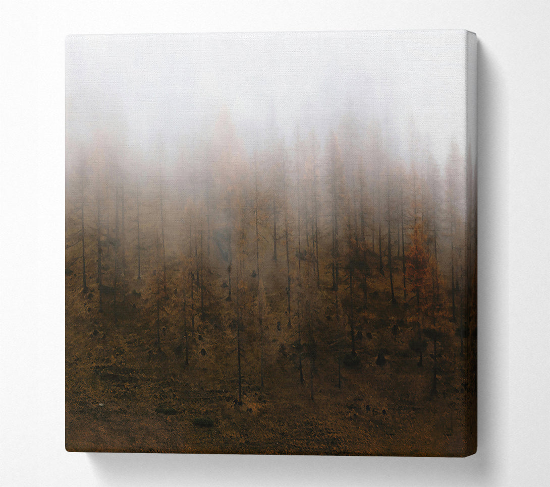  A Canvas Print of Brown Foggy Forest Canvas Art