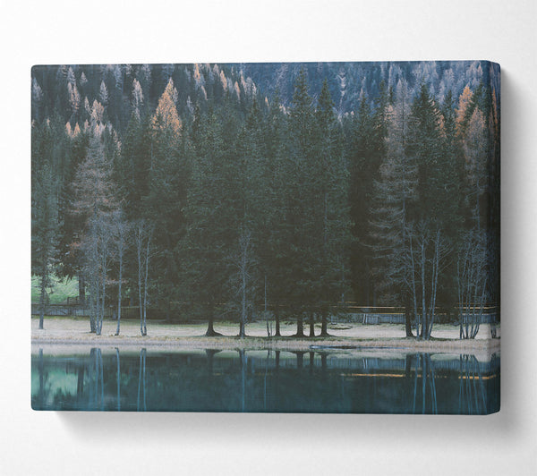  A Canvas Print of Teal Forest Reflections Canvas Wall Art