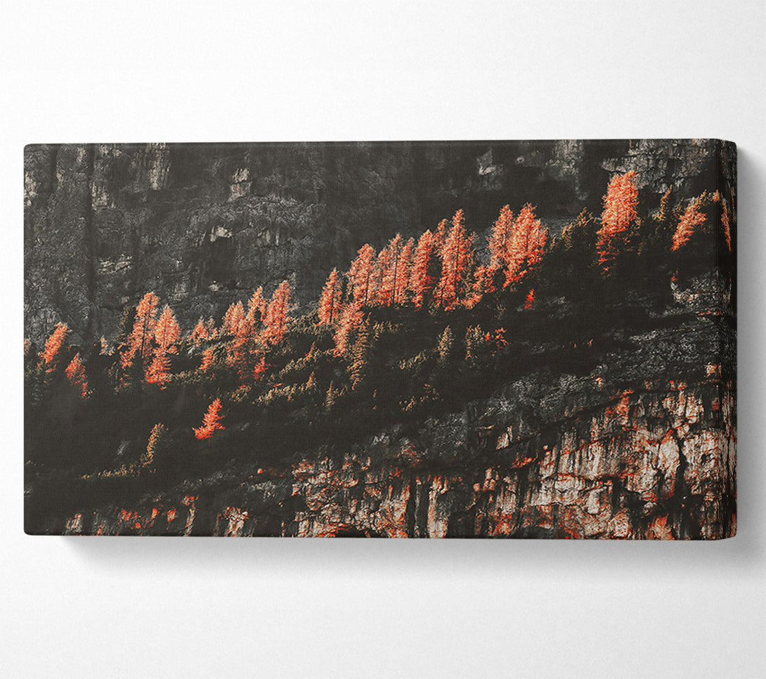  A Canvas Print of Crimson Cliffside Trees Canvas Art