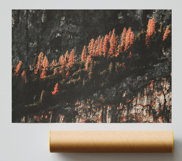 Crimson Cliffside Trees Giclee Print